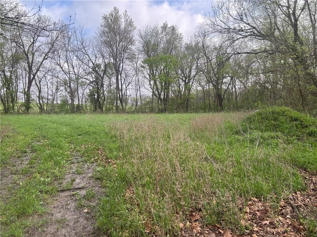 493 SW 1000 Road — photo 11