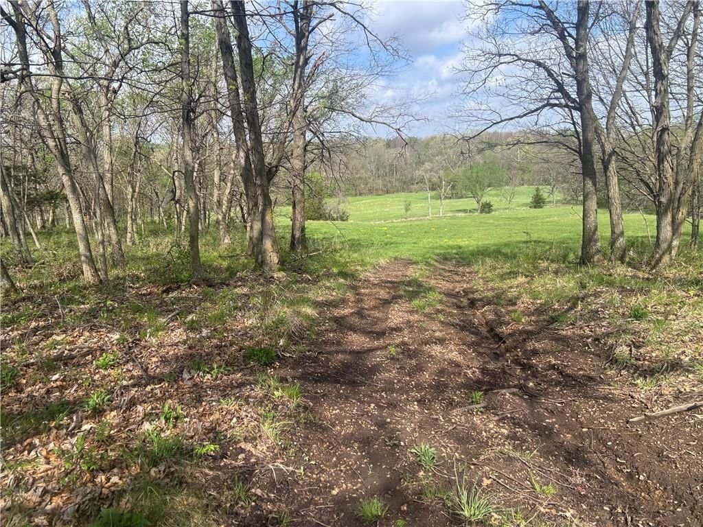 493 SW 1000 Road — photo 17