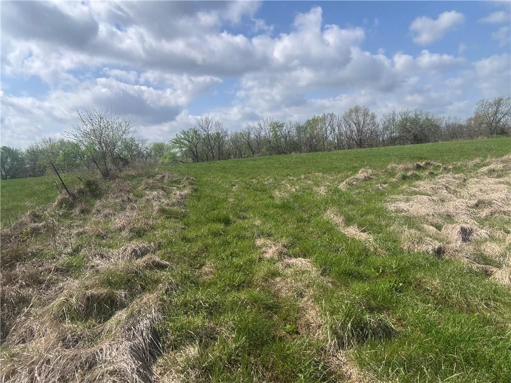 493 SW 1000 Road — photo 18