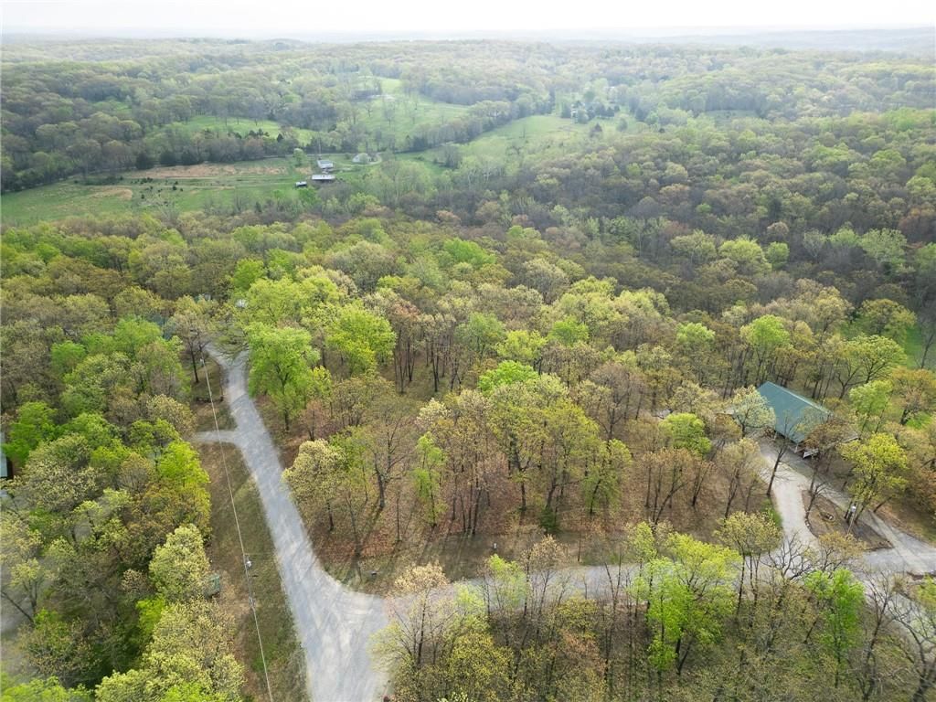 TBD Hummingbird Lane — photo 4