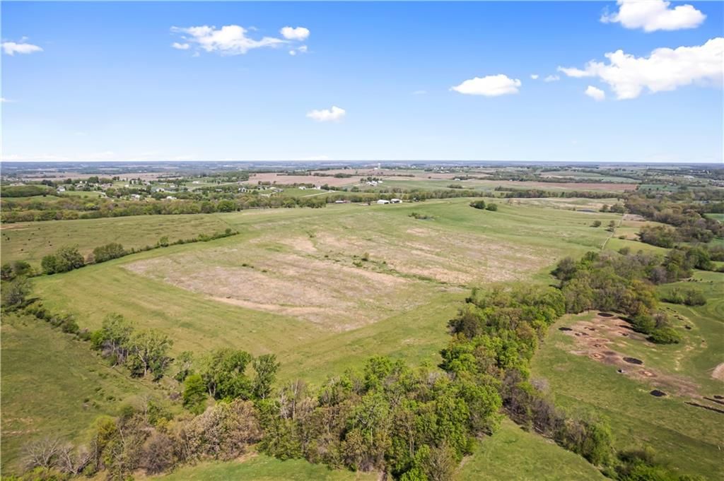 7724 Calvary Hill Road — photo 16