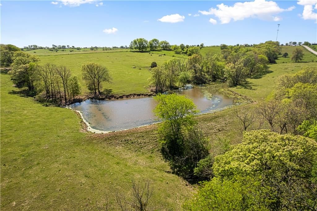 7724 Calvary Hill Road — photo 19