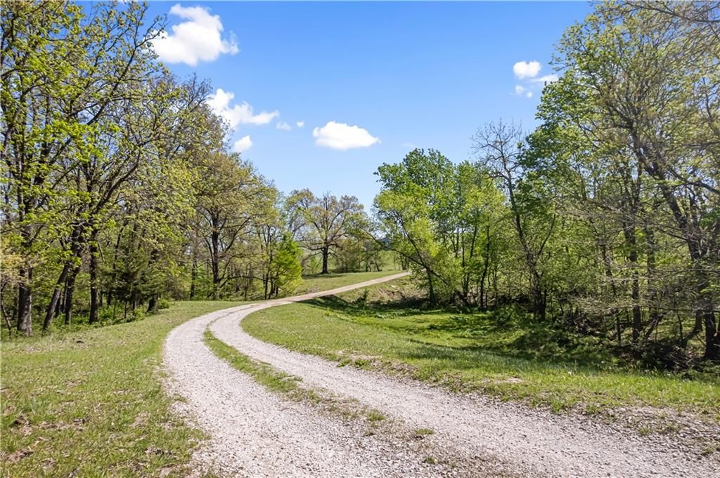 7724 Calvary Hill Road — photo 21