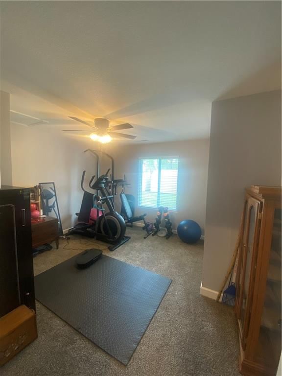 102 Palm Lane — photo 20