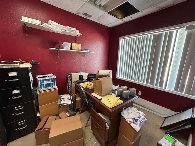 409 W Pine Street — photo 5
