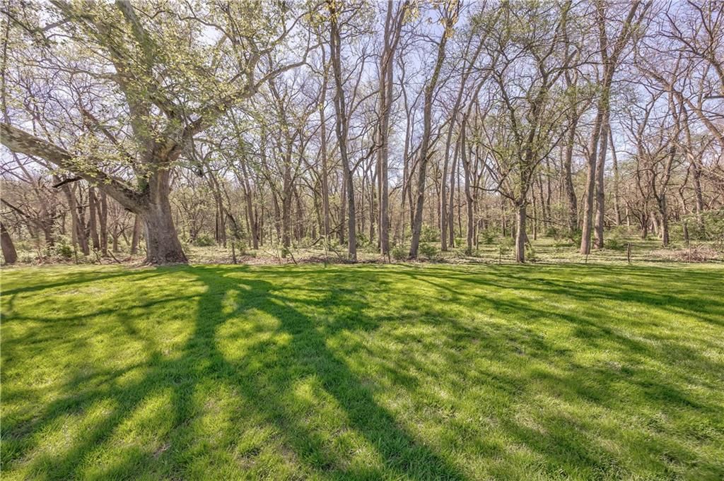 168 Canyon View Drive — photo 12