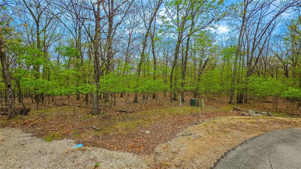 Lot #515-1 Eagles Cove Court, Sunrise Beach, MO