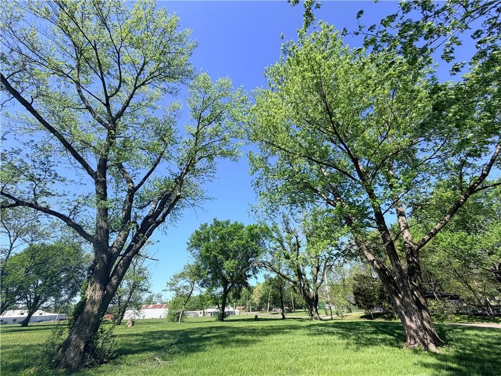 203 W Elizabeth Street — photo 7