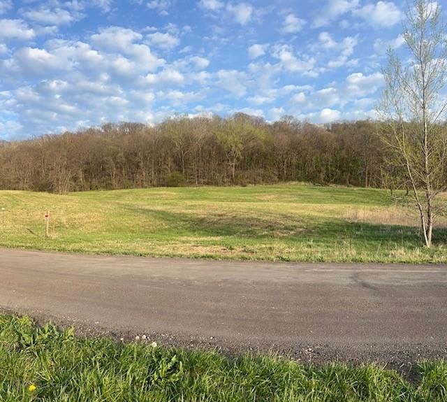 10367 SW Bluff TRACT 2 Road — photo 4