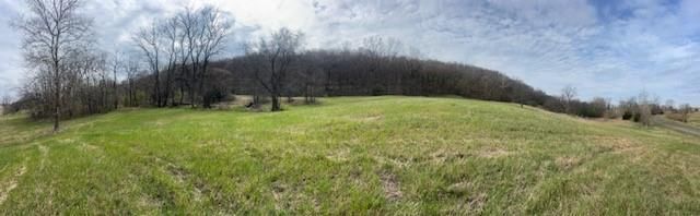 10367 SW Bluff TRACT 2 Road — photo 5