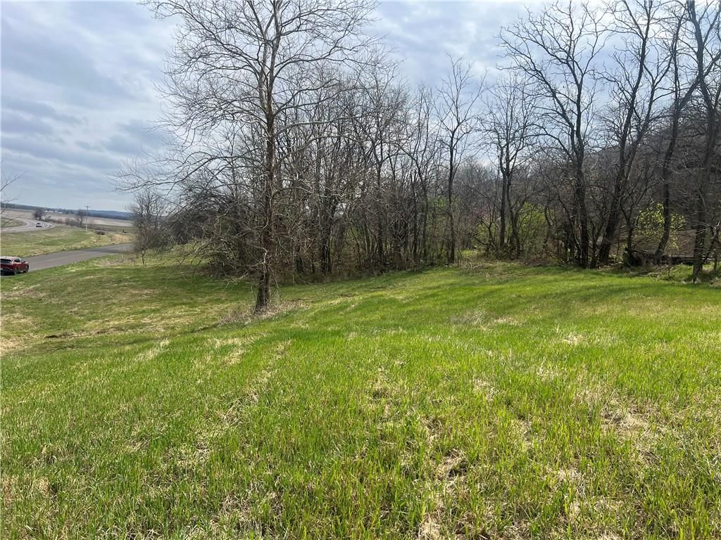 10367 SW Bluff TRACT 2 Road — photo 7
