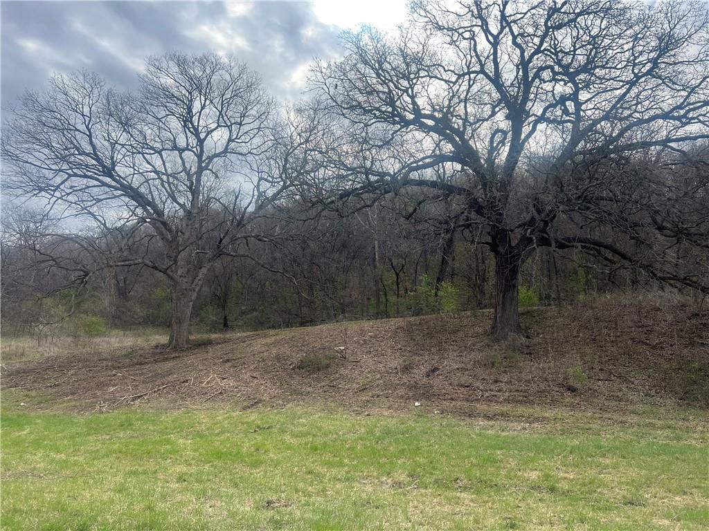 10367 SW Bluff TRACT 2 Road — photo 8