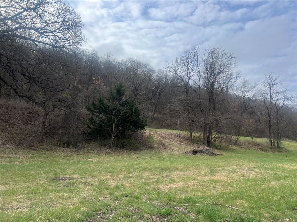 10367 SW Bluff TRACT 2 Road — photo 9