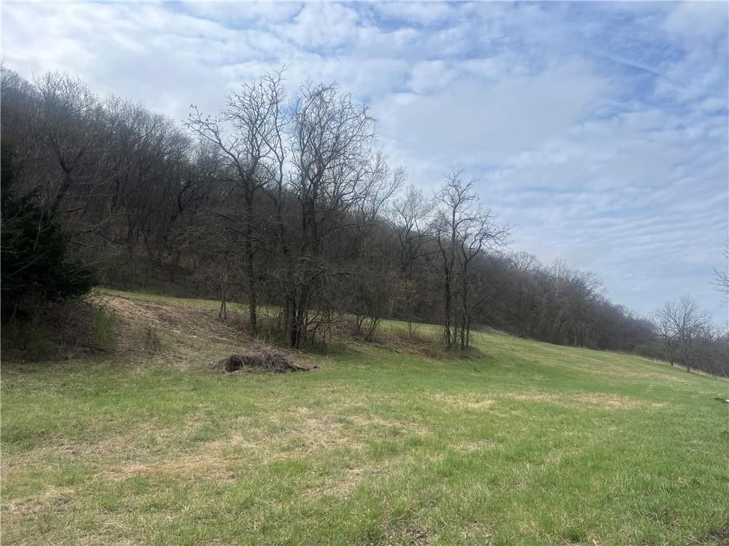 10367 SW Bluff TRACT 2 Road — photo 10