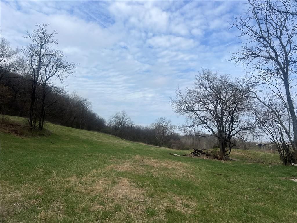 10367 SW Bluff TRACT 2 Road — photo 11