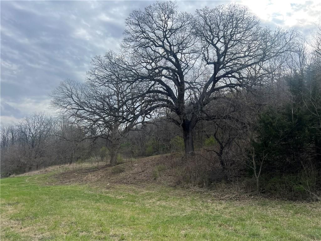 10367 SW Bluff TRACT 2 Road — photo 12