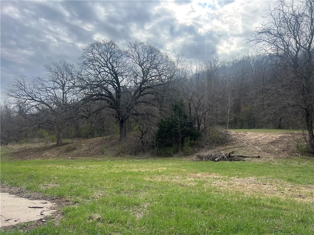 10367 SW Bluff TRACT 2 Road — photo 14