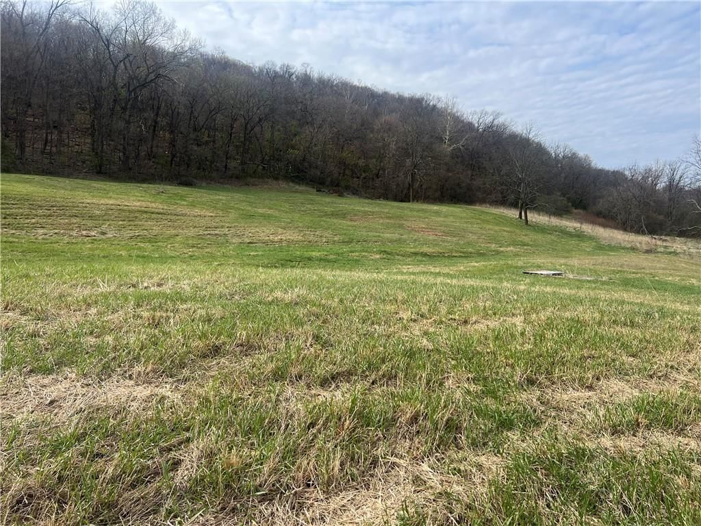 10367 SW Bluff TRACT 2 Road — photo 15