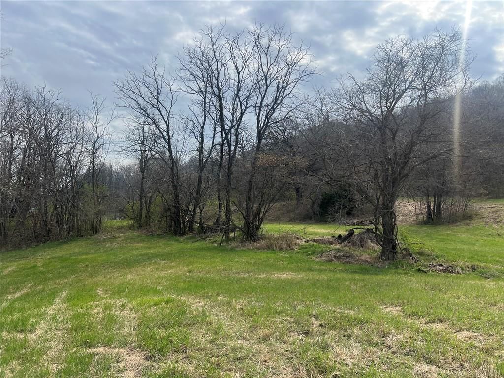 10367 SW Bluff TRACT 2 Road — photo 16