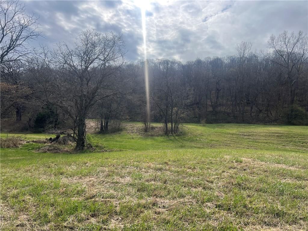 10367 SW Bluff TRACT 2 Road — photo 17