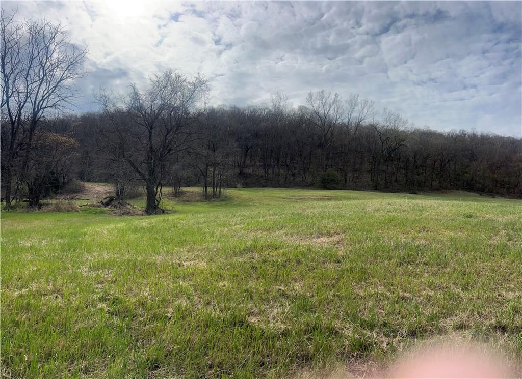 10367 SW Bluff TRACT 2 Road — photo 18