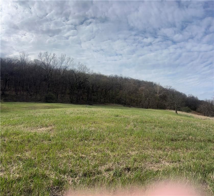10367 SW Bluff TRACT 2 Road — photo 19