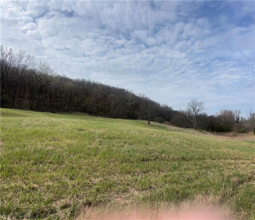 10367 SW Bluff TRACT 2 Road — photo 20