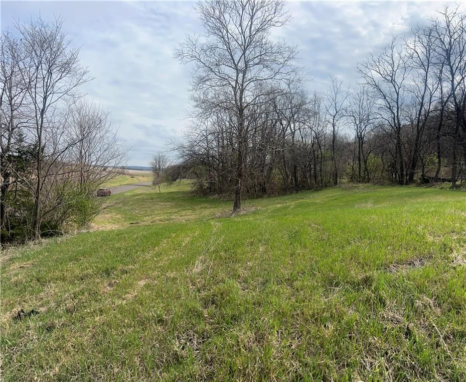 10367 SW Bluff TRACT 2 Road — photo 21
