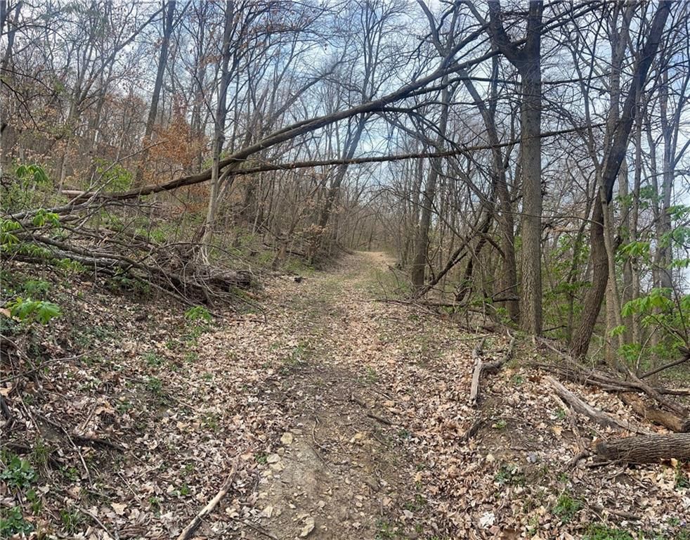10367 SW Bluff TRACT 2 Road — photo 22