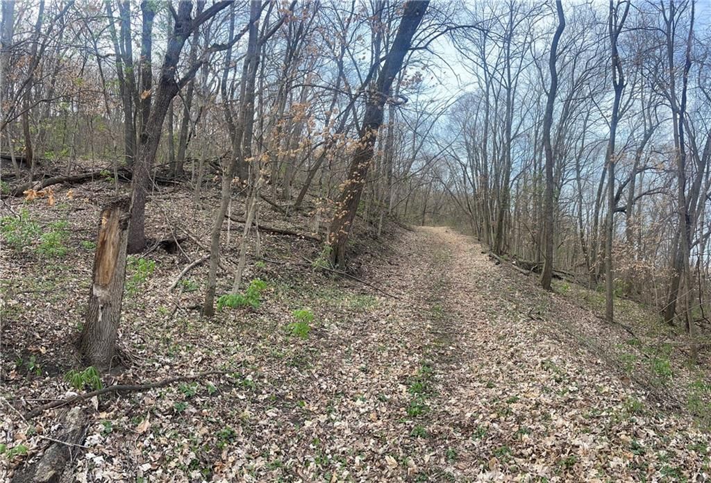 10367 SW Bluff TRACT 2 Road — photo 23