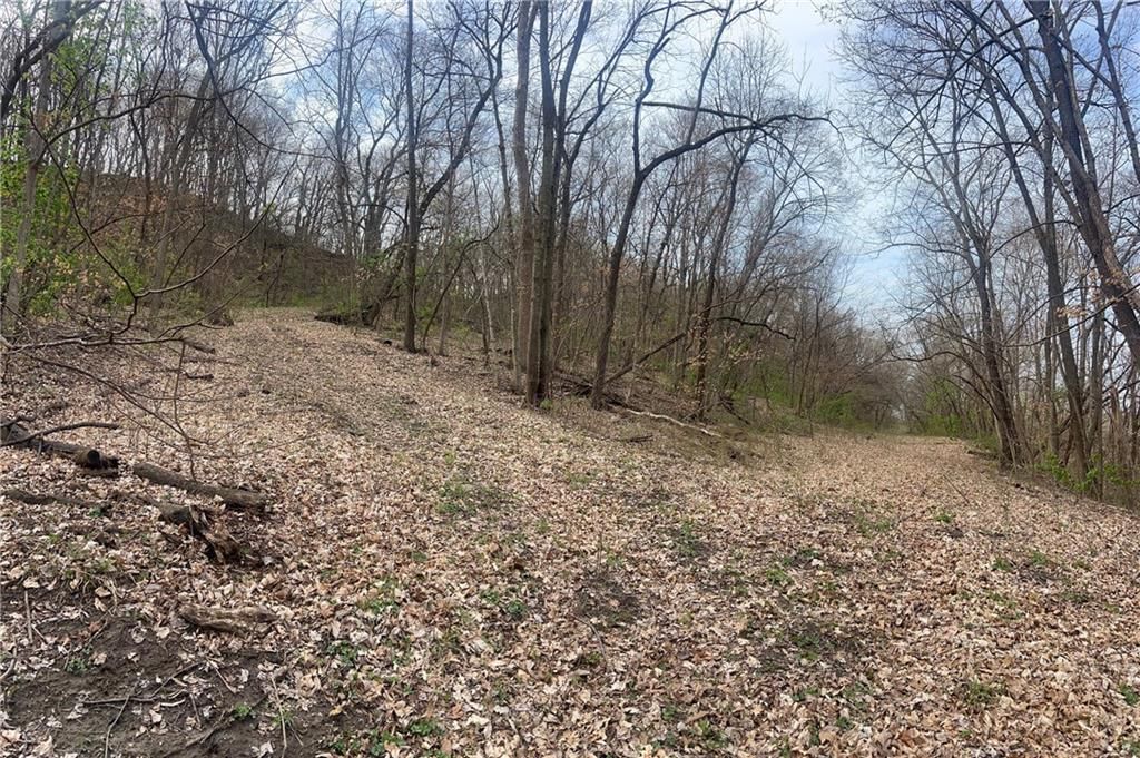 10367 SW Bluff TRACT 2 Road — photo 24