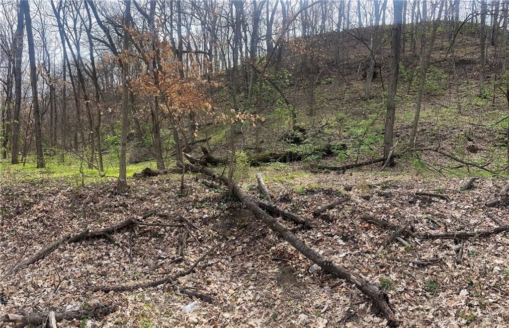 10367 SW Bluff TRACT 2 Road — photo 25
