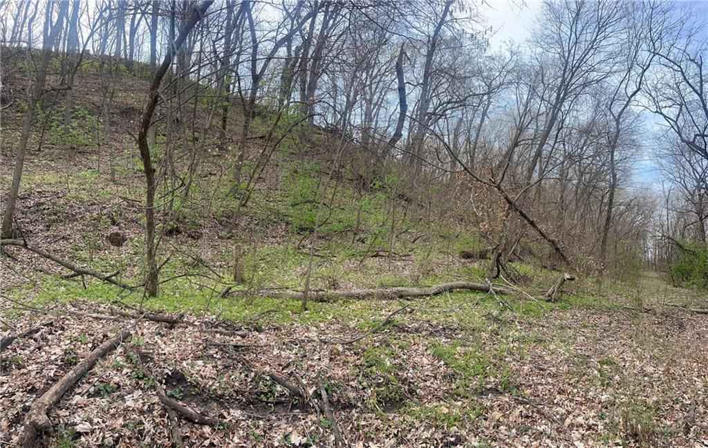 10367 SW Bluff TRACT 2 Road — photo 26