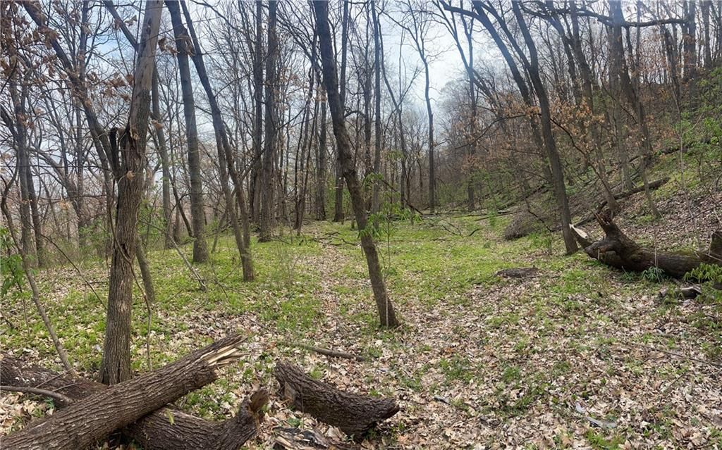 10367 SW Bluff TRACT 2 Road — photo 27