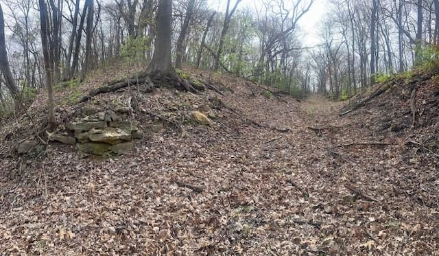 10367 SW Bluff TRACT 2 Road — photo 28