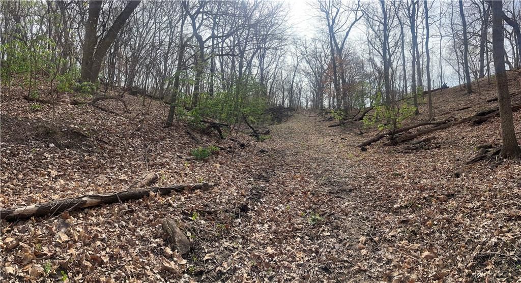 10367 SW Bluff TRACT 2 Road — photo 29
