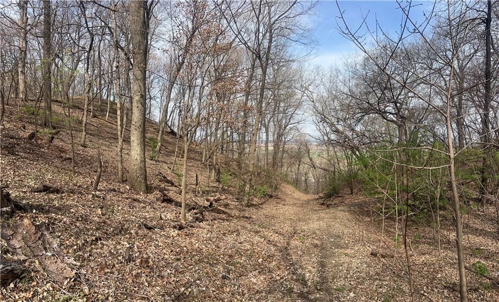 10367 SW Bluff TRACT 2 Road — photo 30
