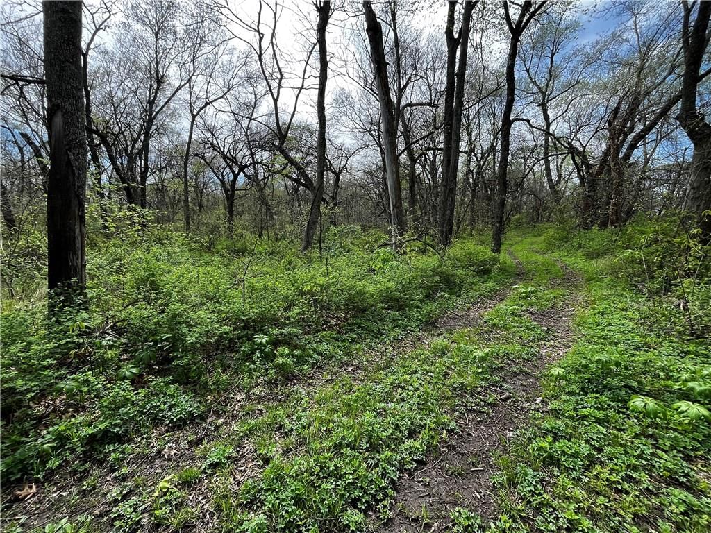 TBD S State Route D Highway — photo 8