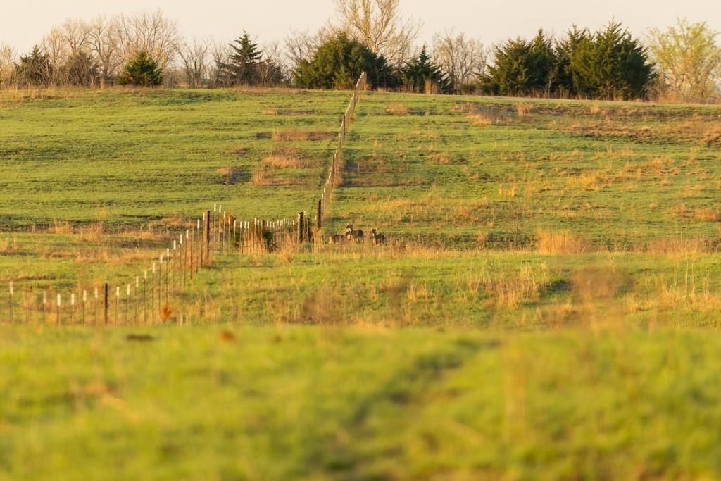 NW State Route J Highway — photo 83