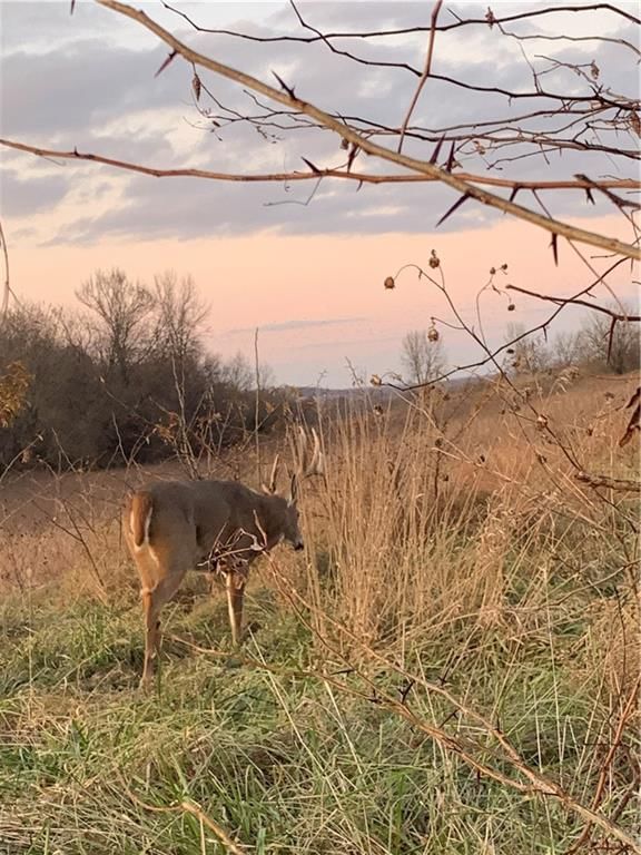 NW State Route J Highway — photo 93