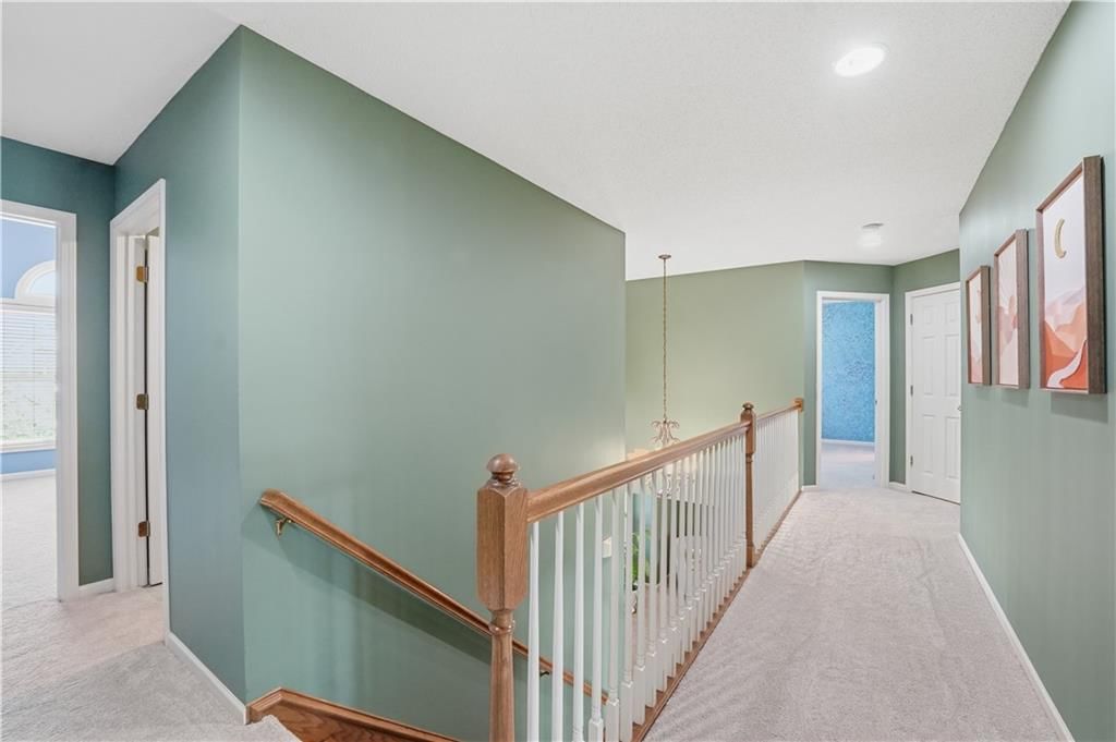 12134 Craig Lane — photo 24