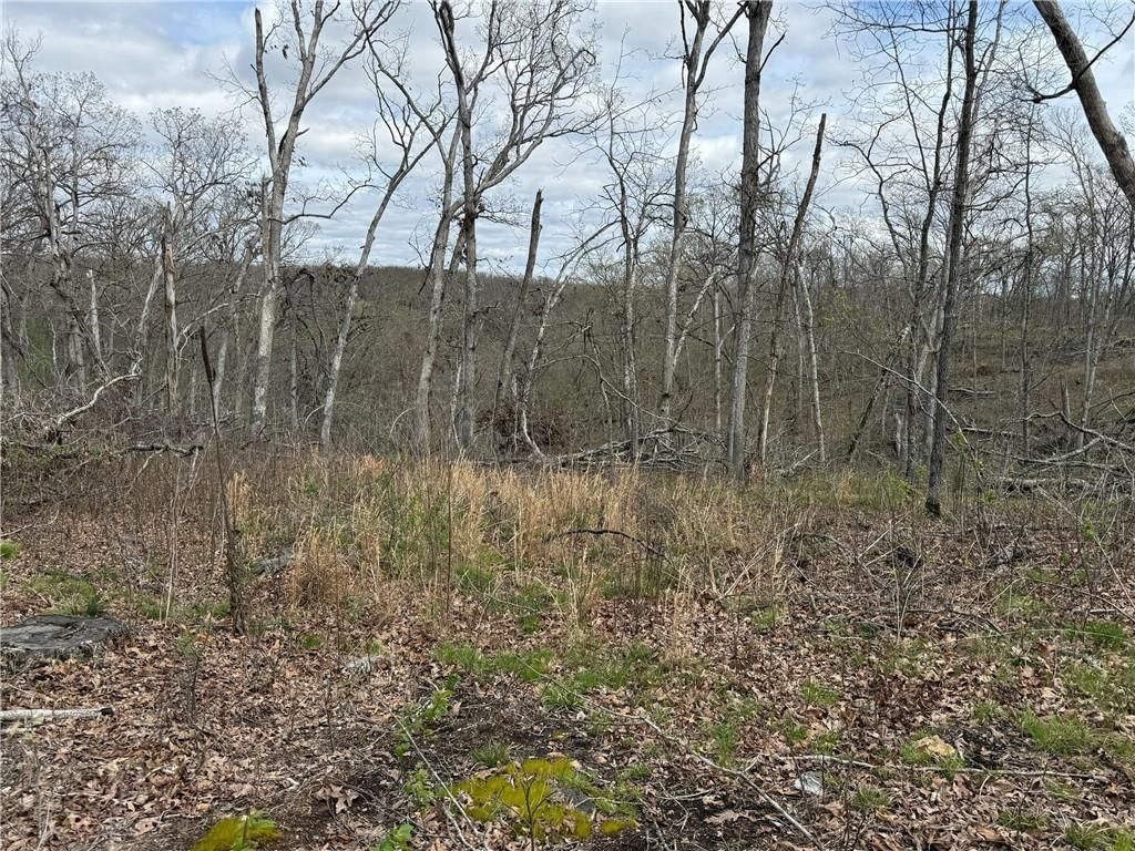 991 SE 976 Road — photo 35