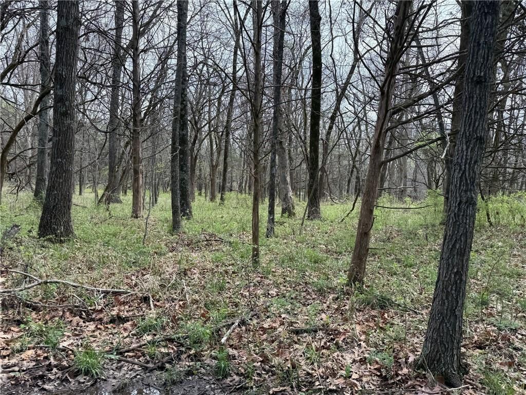 991 SE 976 Road — photo 44