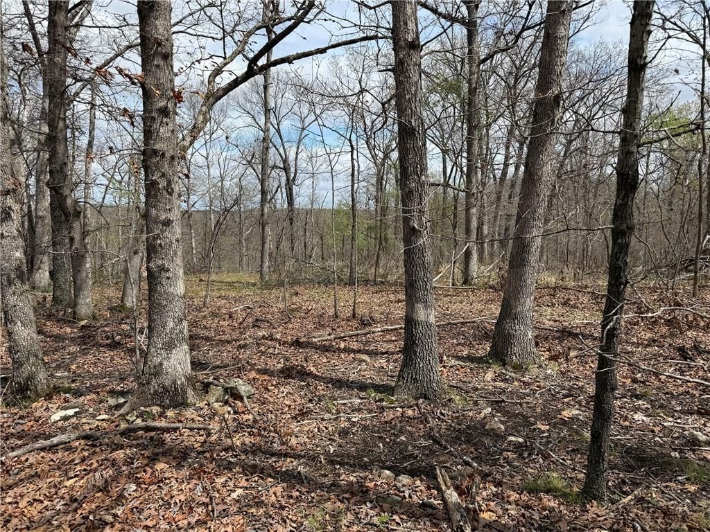 991 SE 976 Road — photo 46
