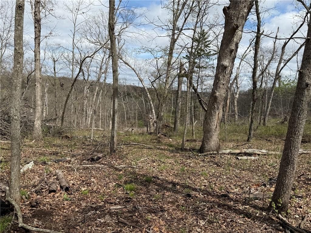 991 SE 976 Road — photo 49