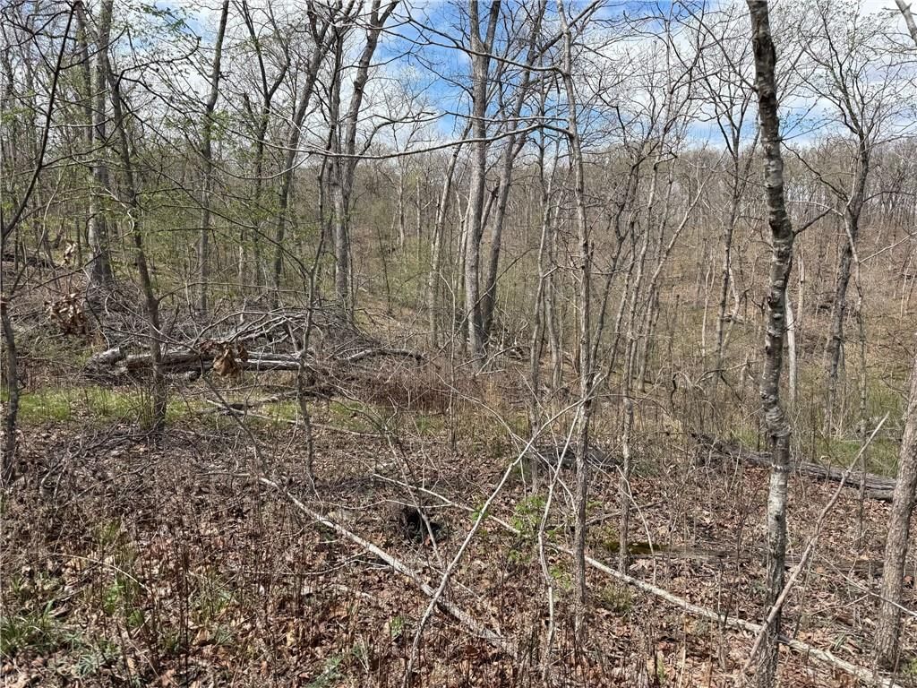 991 SE 976 Road — photo 58