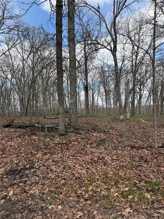 991 SE 976 Road — photo 63