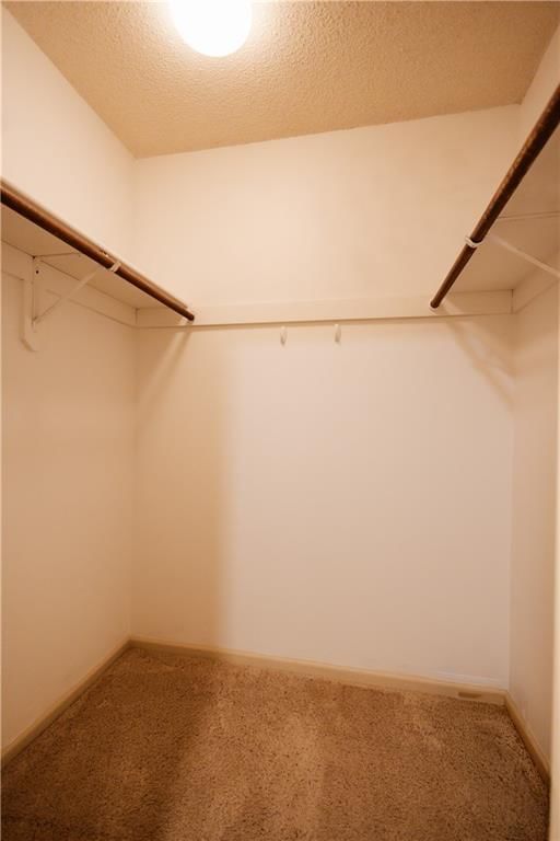 3902 Eastgate Drive — photo 8