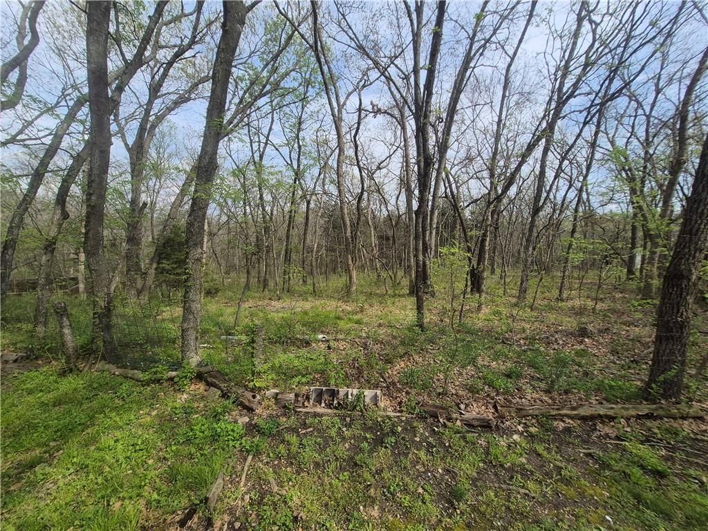 17999 State Highway U N/A — photo 42