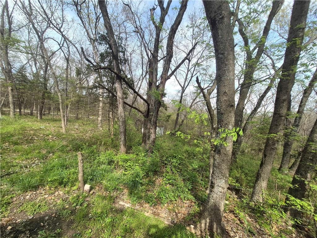 17999 State Highway U N/A — photo 44